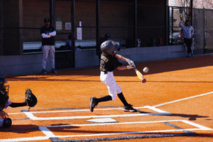 Huskies 9u 2