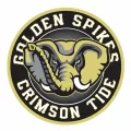 Crimson Tide 11U to Finish as 12U Championship Finalists at NCS Memorial Day Tournament