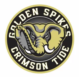 Golden Spikes Baseball Academy 19 Crimson Tide