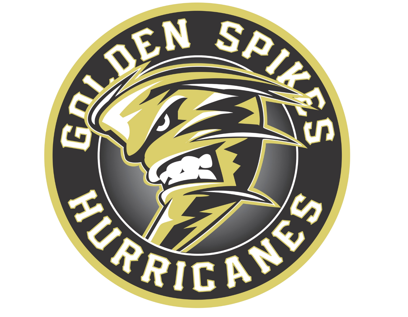 Hurricanes 25 Hurricanes Logo