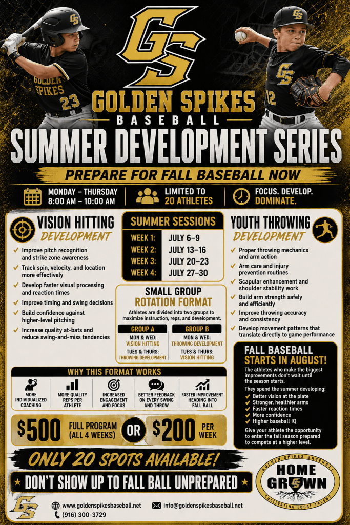 Summer Development Series